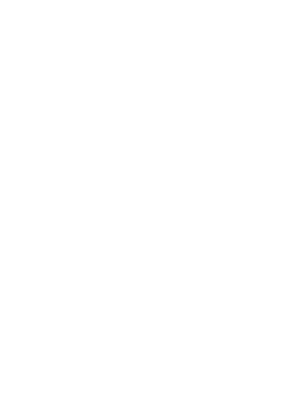 Promark alternate logo