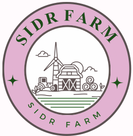 سدر المزرعة | SIDR FARM