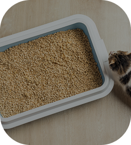 رمل ومستلزماته