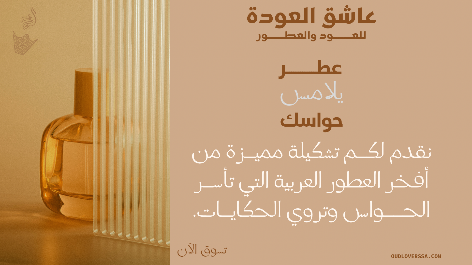 عاشق العودة