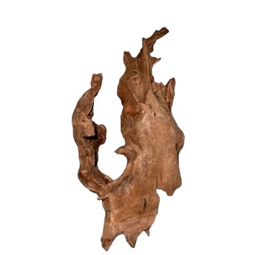 https://cdn.salla.sa/form-builder/Z5i7duFYxFr0BHdriJmz33VUd9xVxvE4mnhrT3yQ.jpg