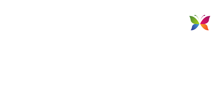 تايفي