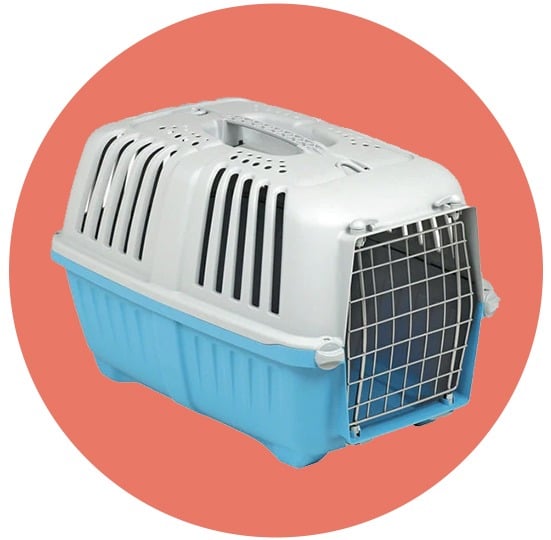 أقفاص القطط