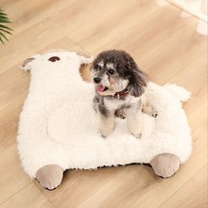 فرشة للحيوانات