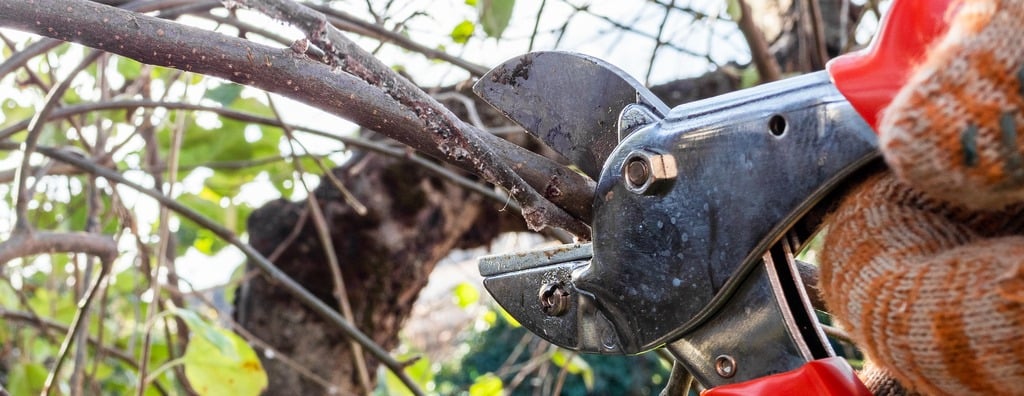 كلين جاردن | Clean Garden image-slider-0