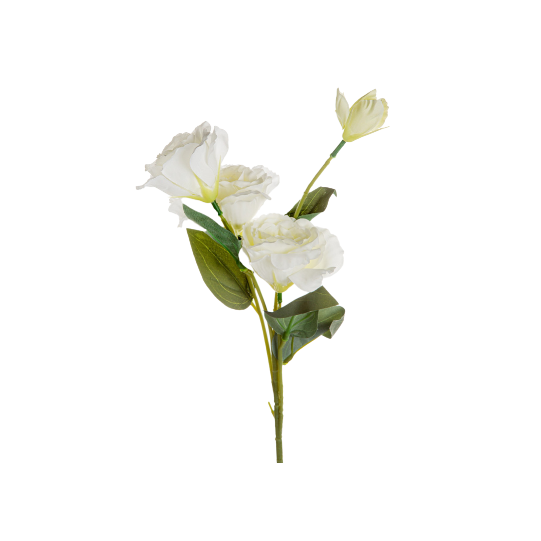 ورد طبيعي وصناعي