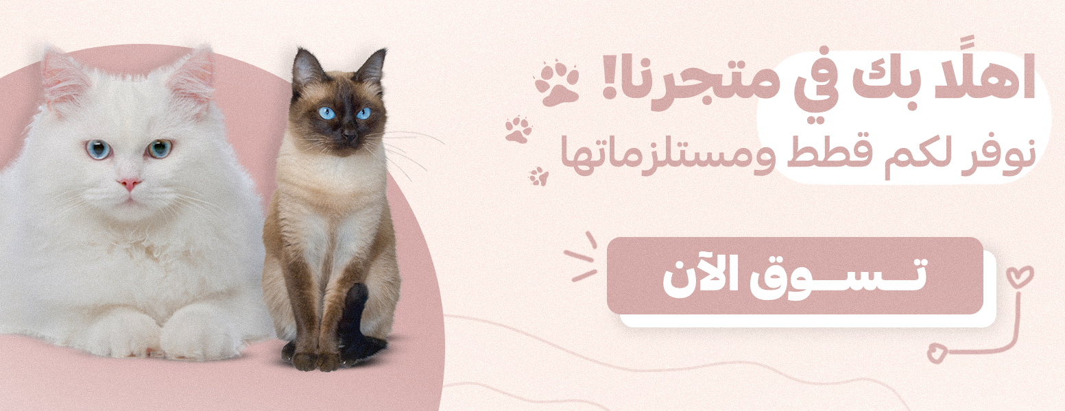Cats Caty - كاتس كاتي image-slider-0