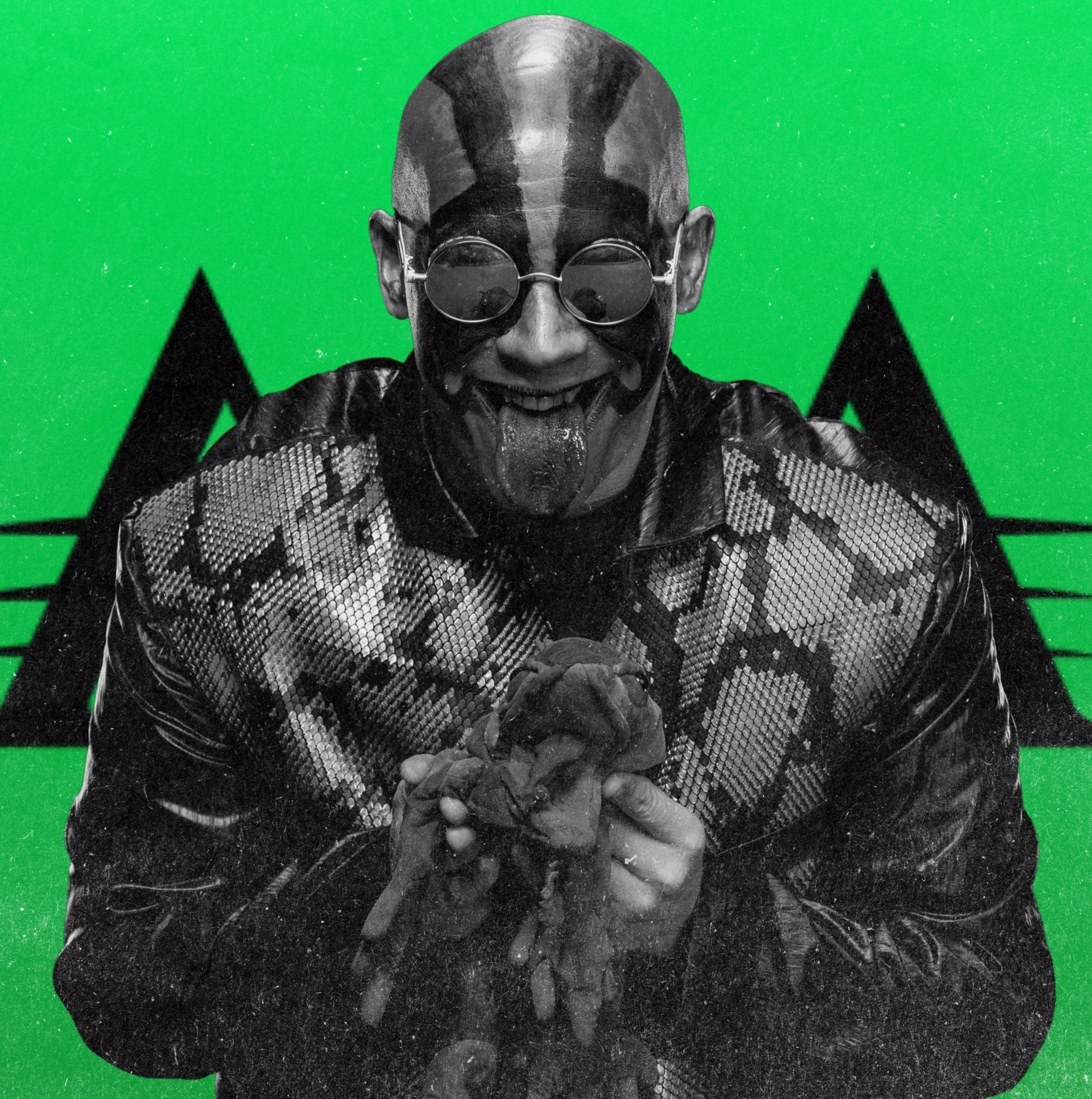 مستر ايغوانا