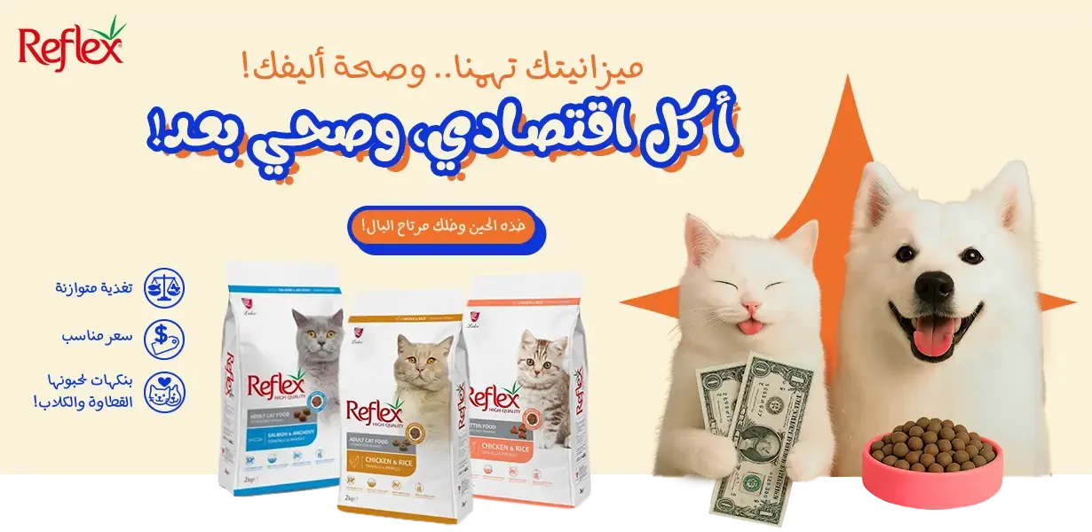 fixed banner
