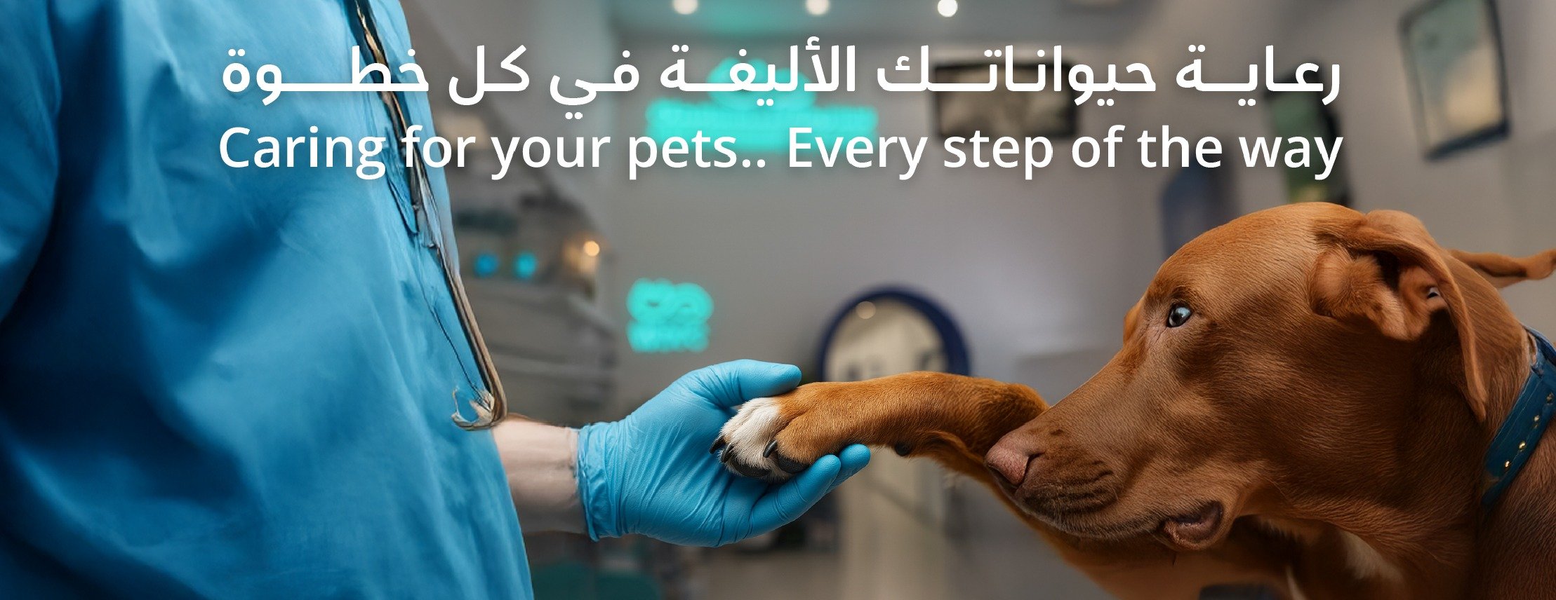 عيادات الوطن التخصصية البيطرية image-slider-3