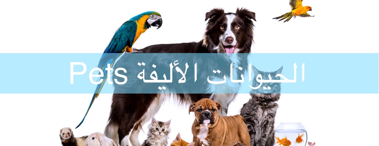 GVC مركز غران البيطري image-slider-2
