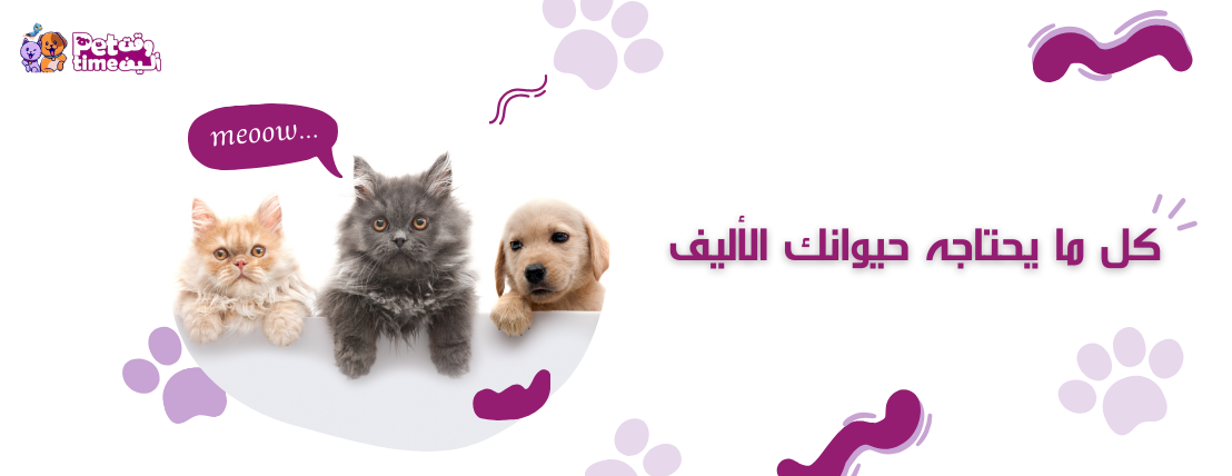pet time image-slider-0