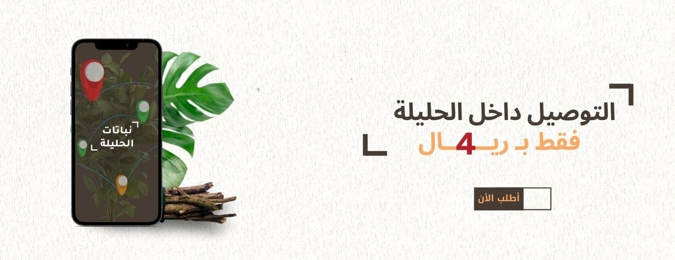 نباتات الحليلة image-slider-1