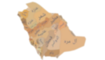 دول image