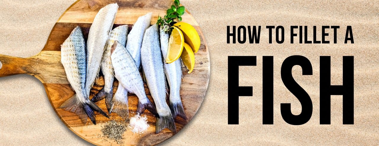 Moral Fish image-slider-1