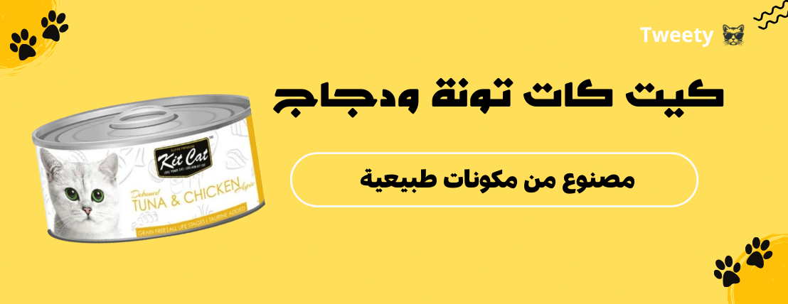 Tweety image-slider-1