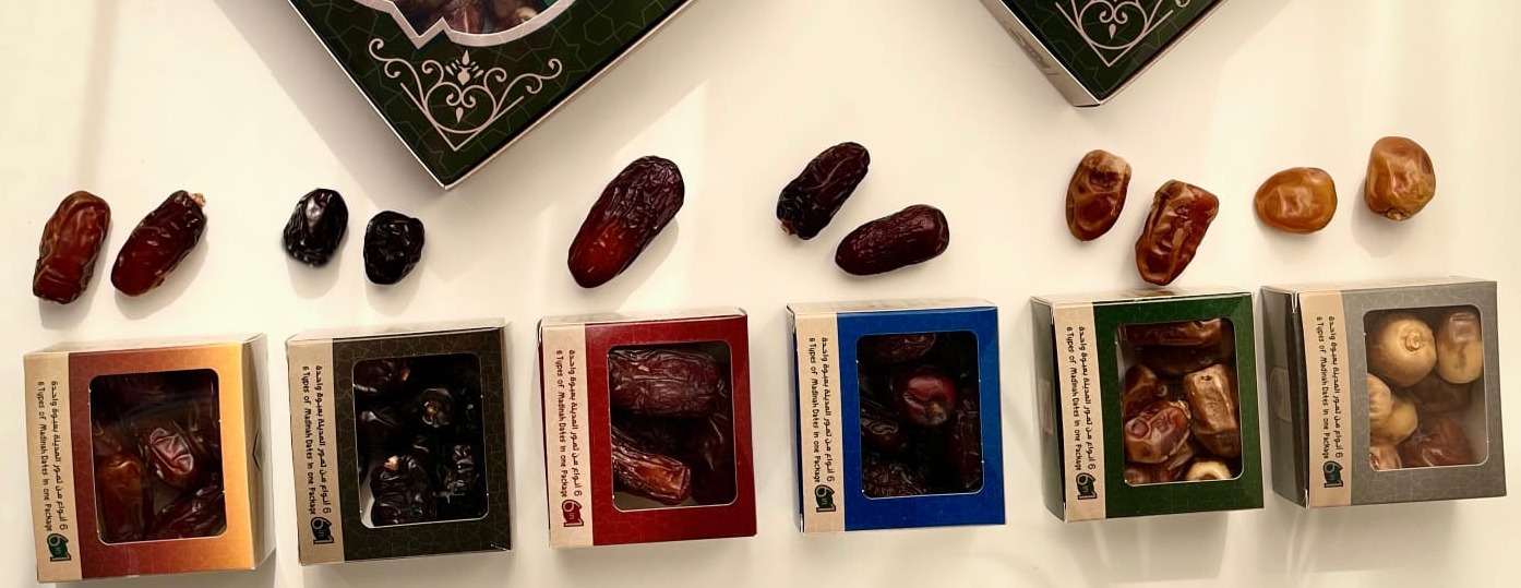 نخلة المدينة Palm city image-slider-3