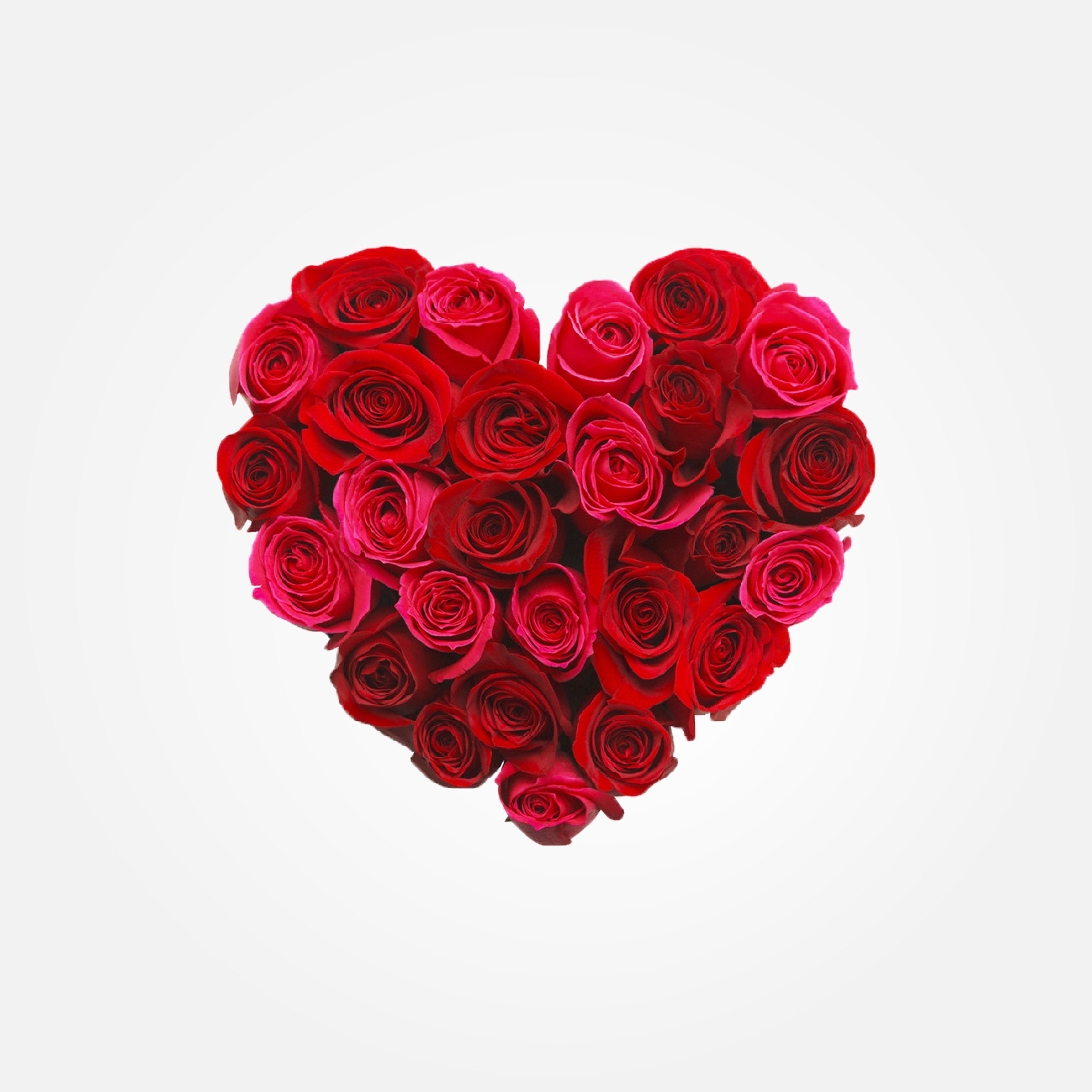 Link Image
