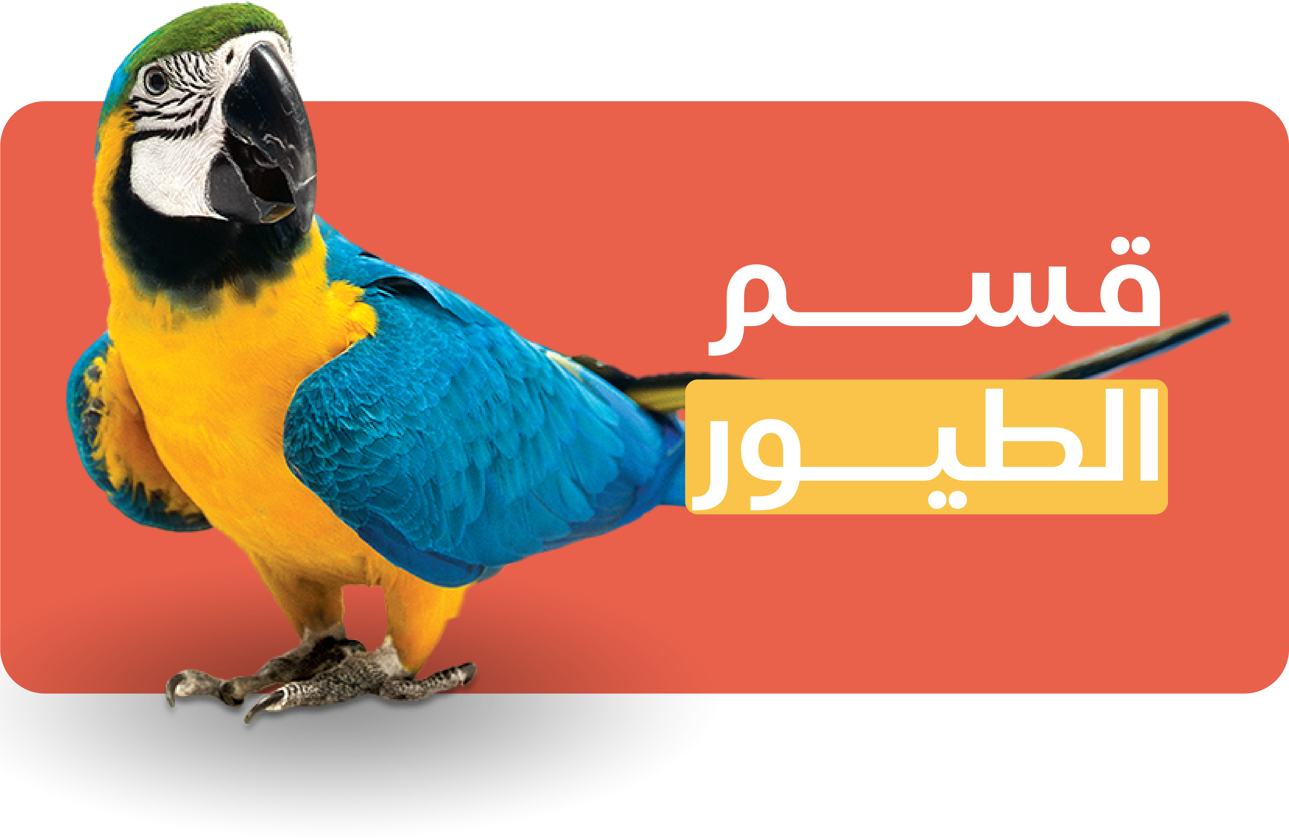 fixed banner