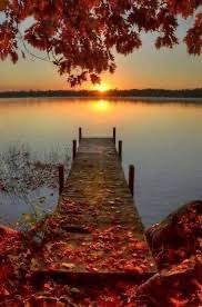 ام صالح الناصر