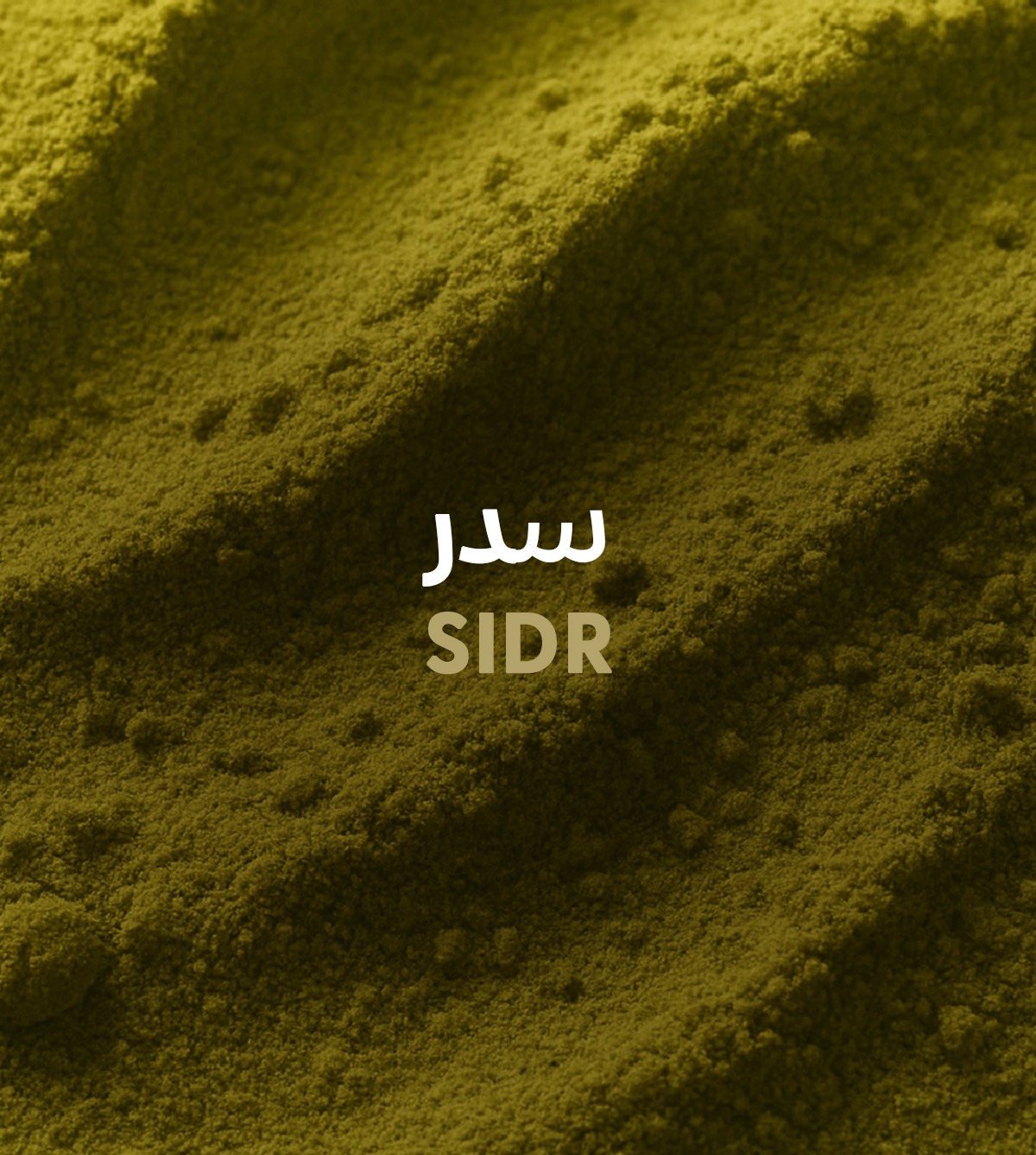 السدر وجوز الهند