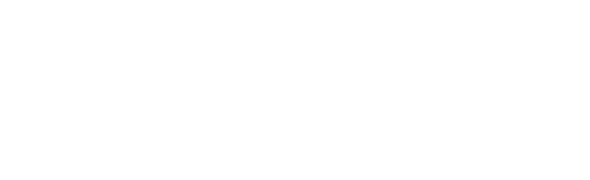store logo img