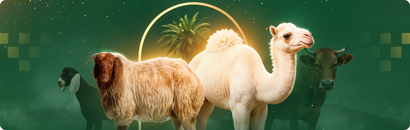 fixed banner