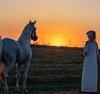 يزيد العتيبي