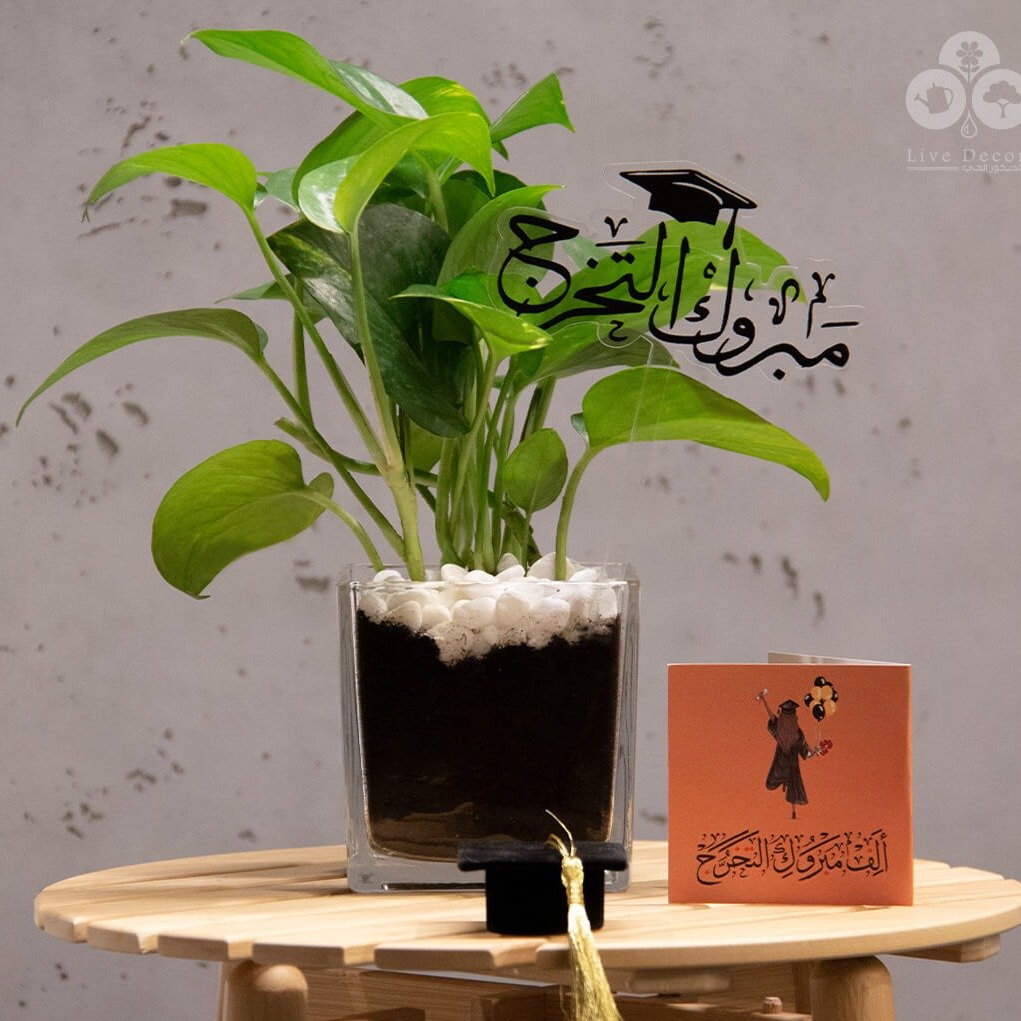 هدايا التخرج