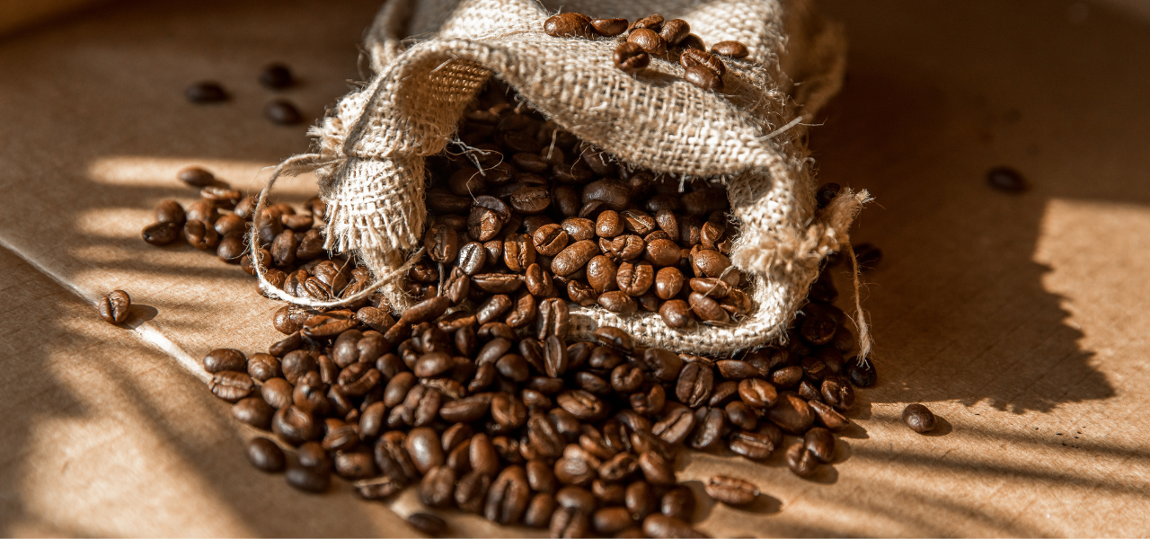 نوادر ثمار البن السعودي