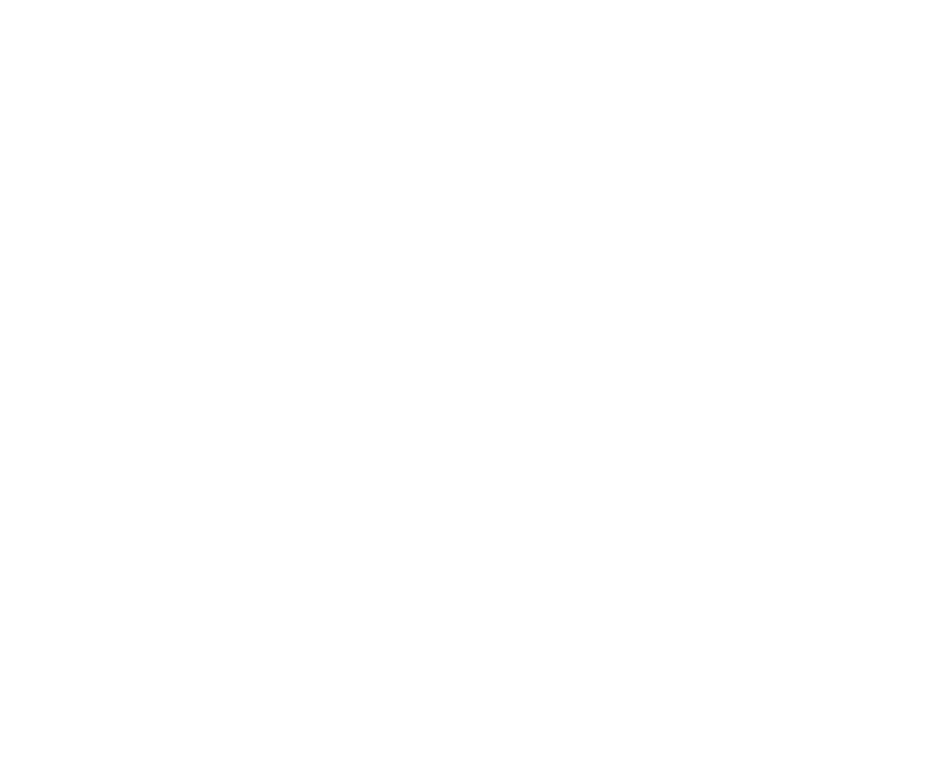 101 Essentials