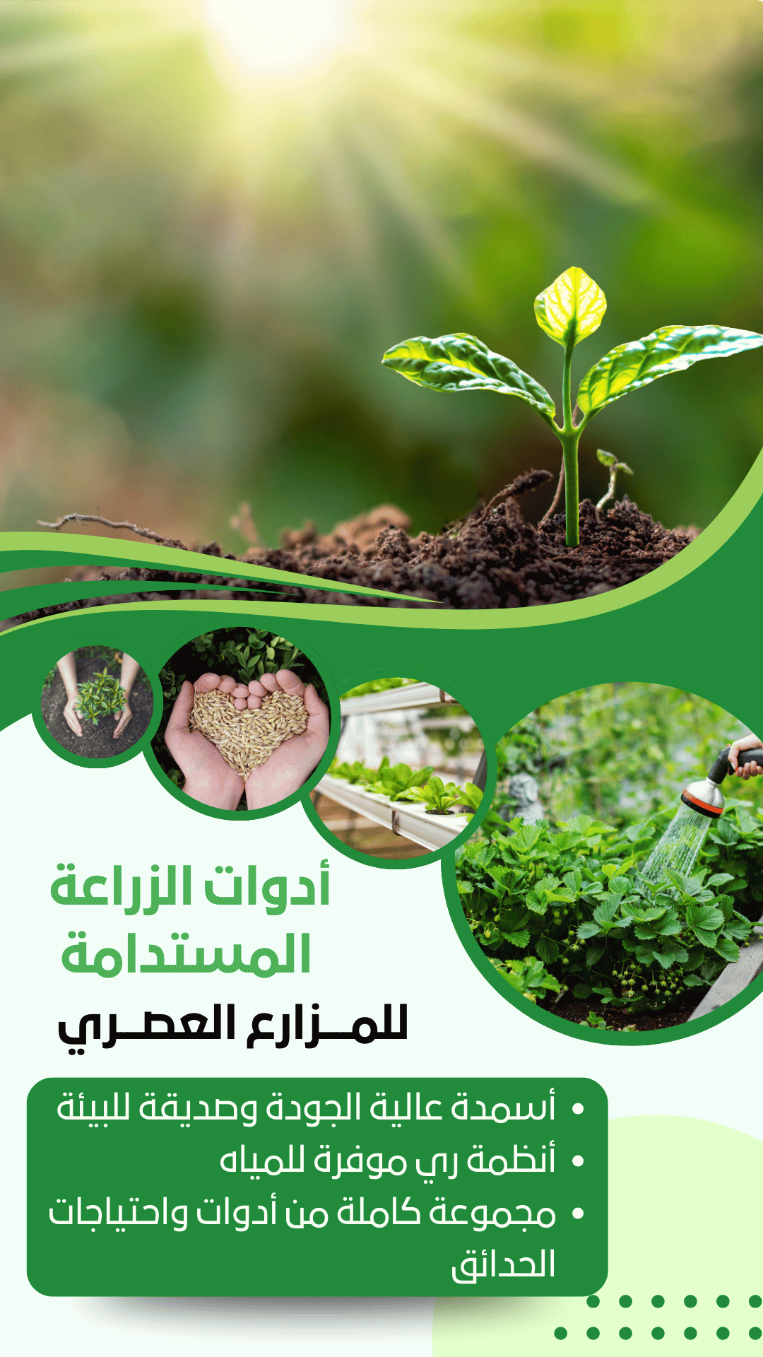 مؤسسة النبتة العربية