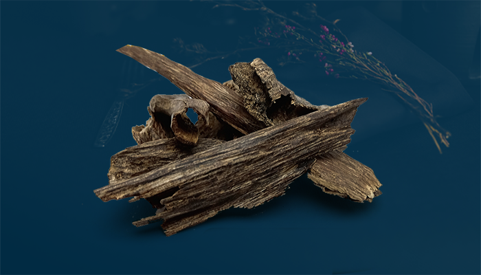 https://cdn.salla.sa/form-builder/btCQQHbm0gxSsQmJUZEQssAxTvTkXI5du9068O4Q.png
