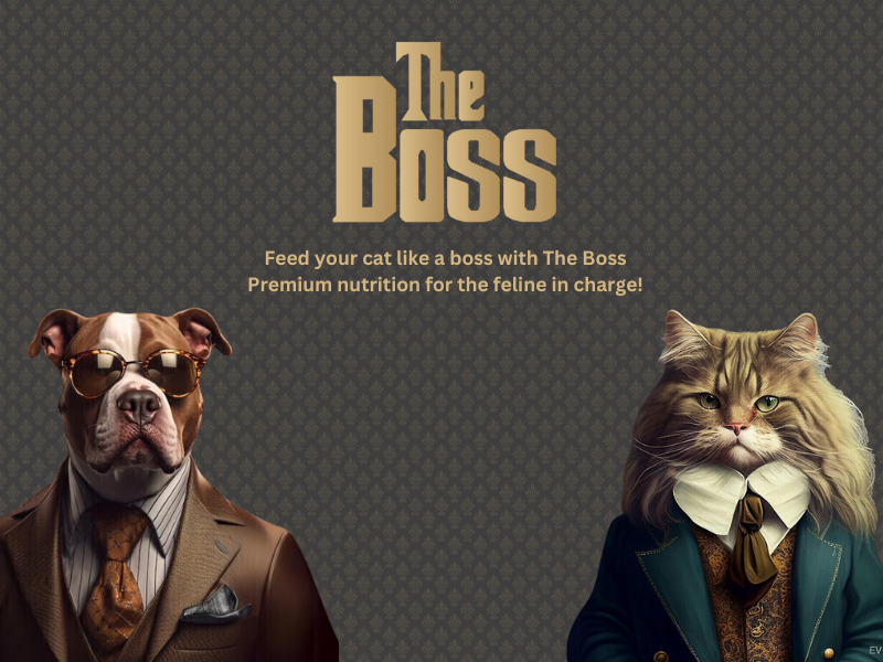 Special products slider