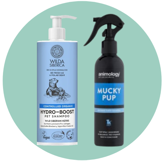 شامبو وعطور للكلاب