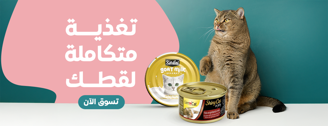 كات بارك image-slider-0