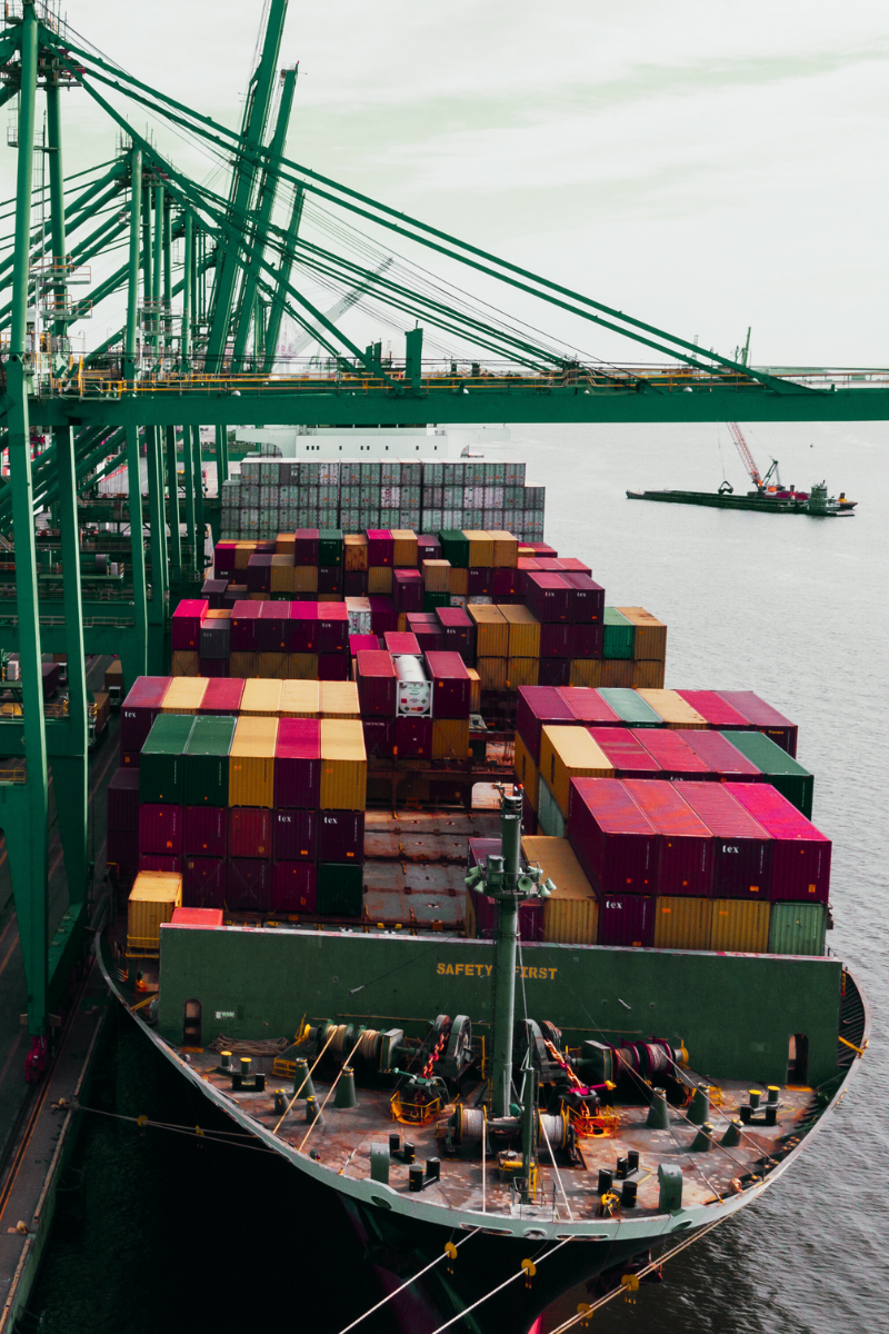 قافلة التنين 🐉