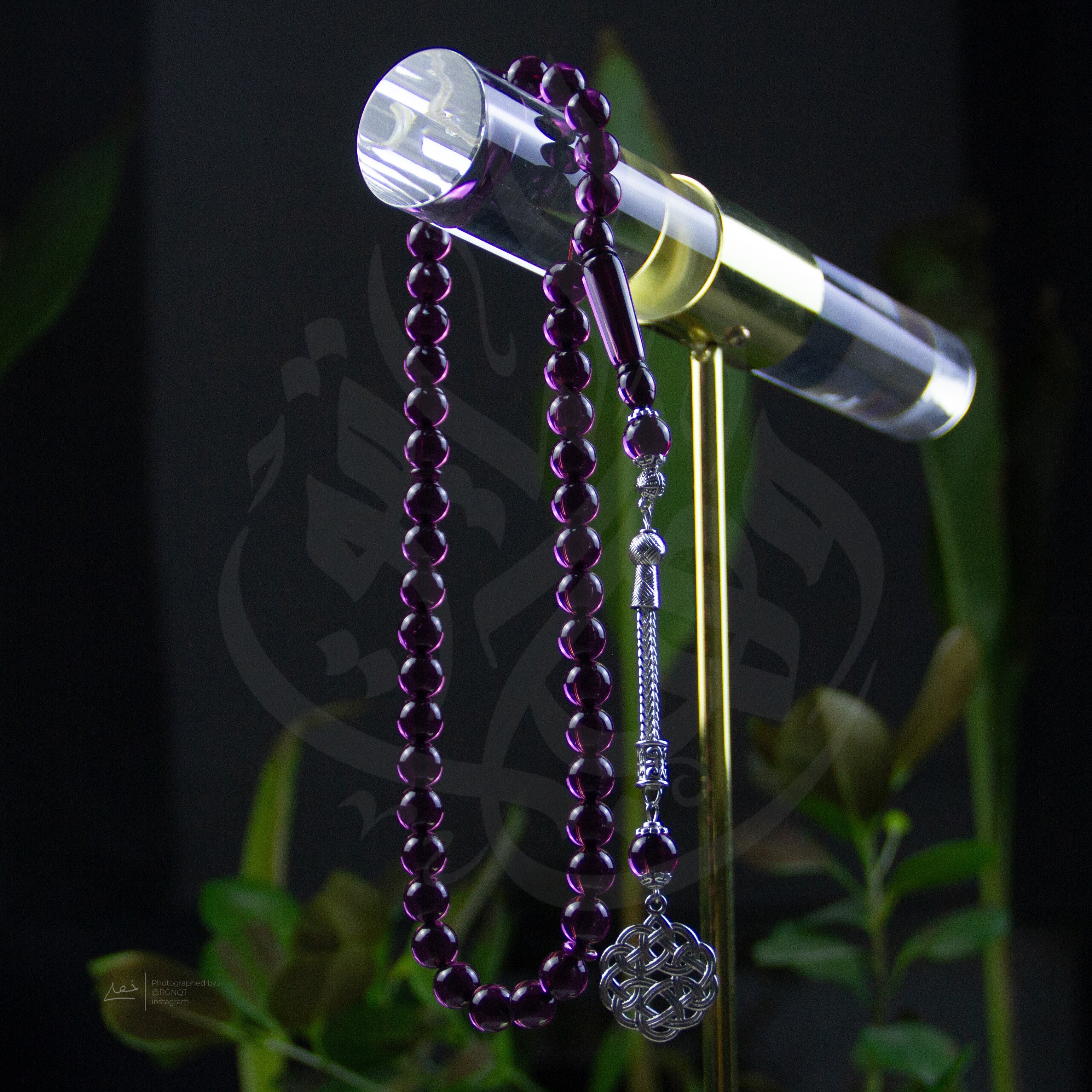 سبح عيون الحرباء