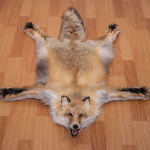 جلد ثعلب طبيعي