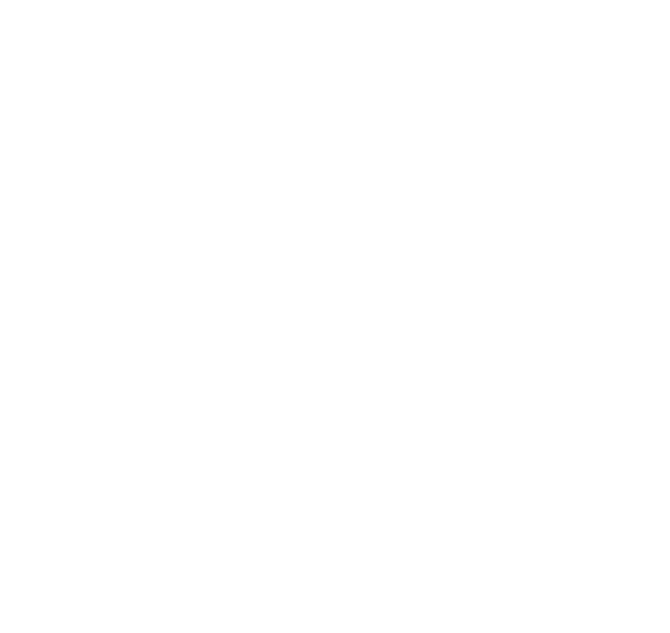 Msh Store logo