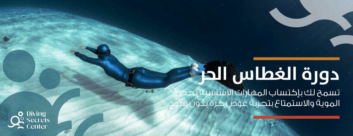 K2 LIGHT UNDERSUIT, PANTS - مركز اسرار الغوص Diving Secrets Center