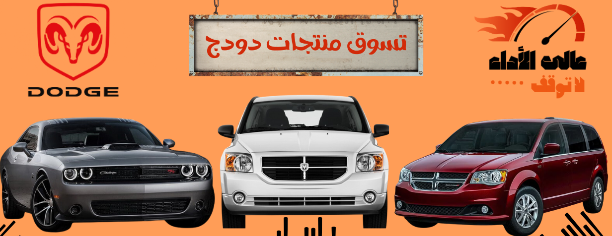 AALIALADAA image-slider-4