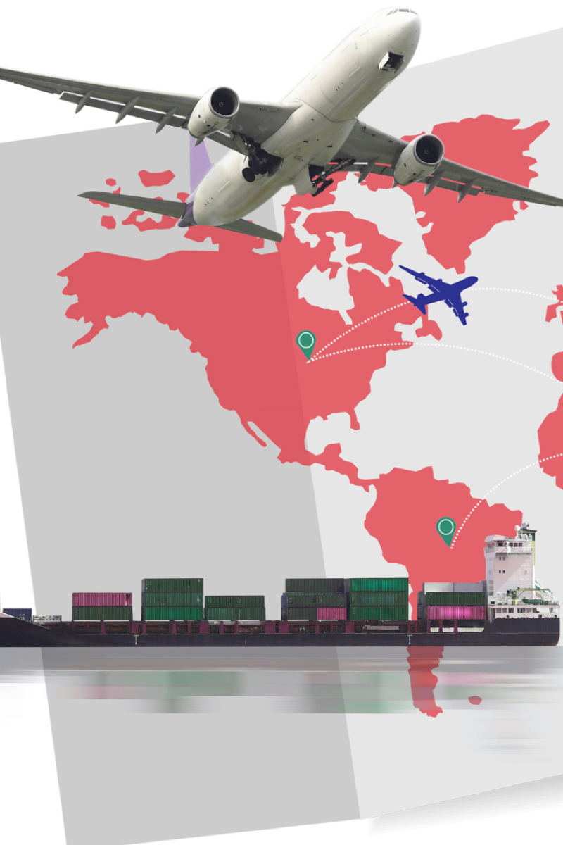 قافلة التنين 🐉