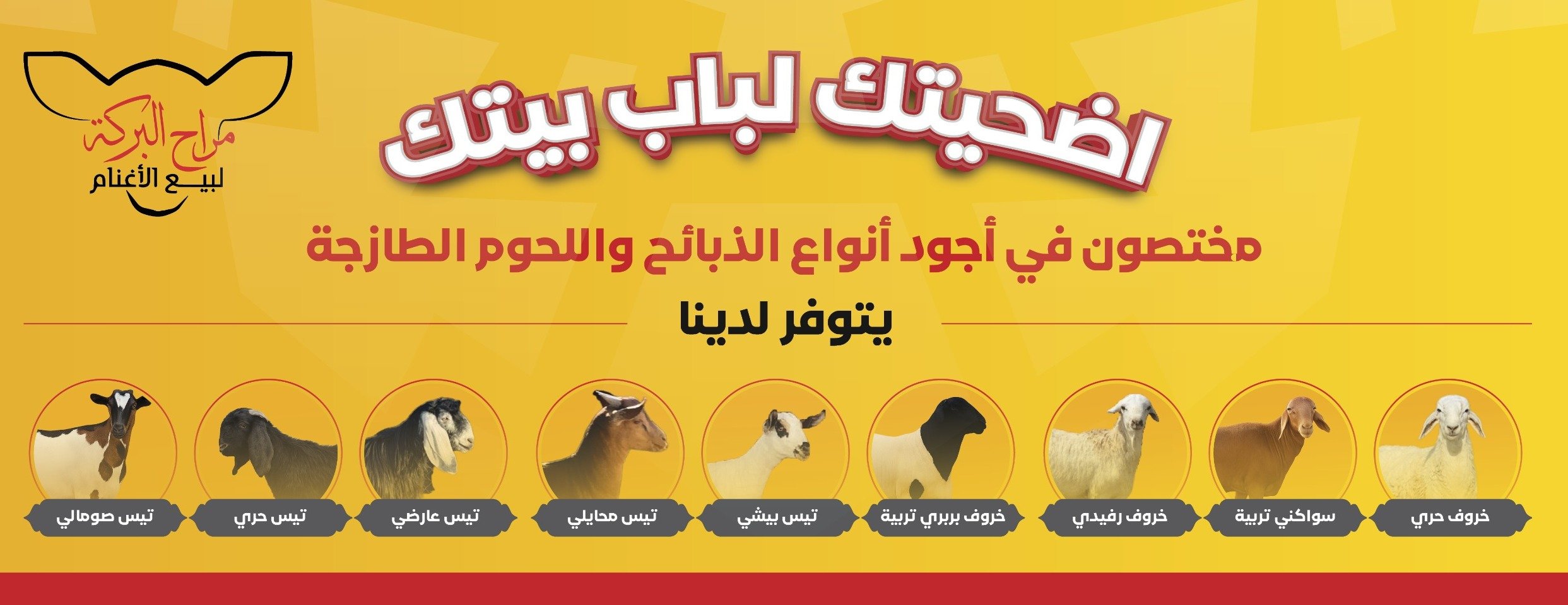 مراح البركة لبيع الأغنام image-slider-3