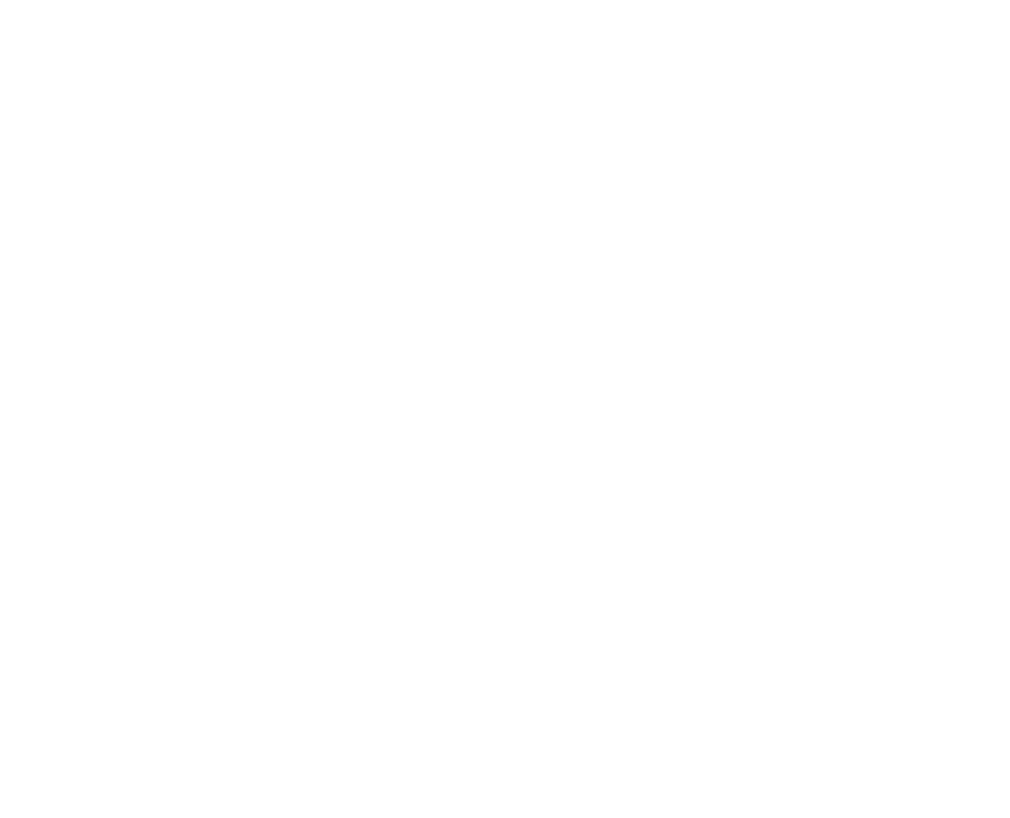 سمارت سفير