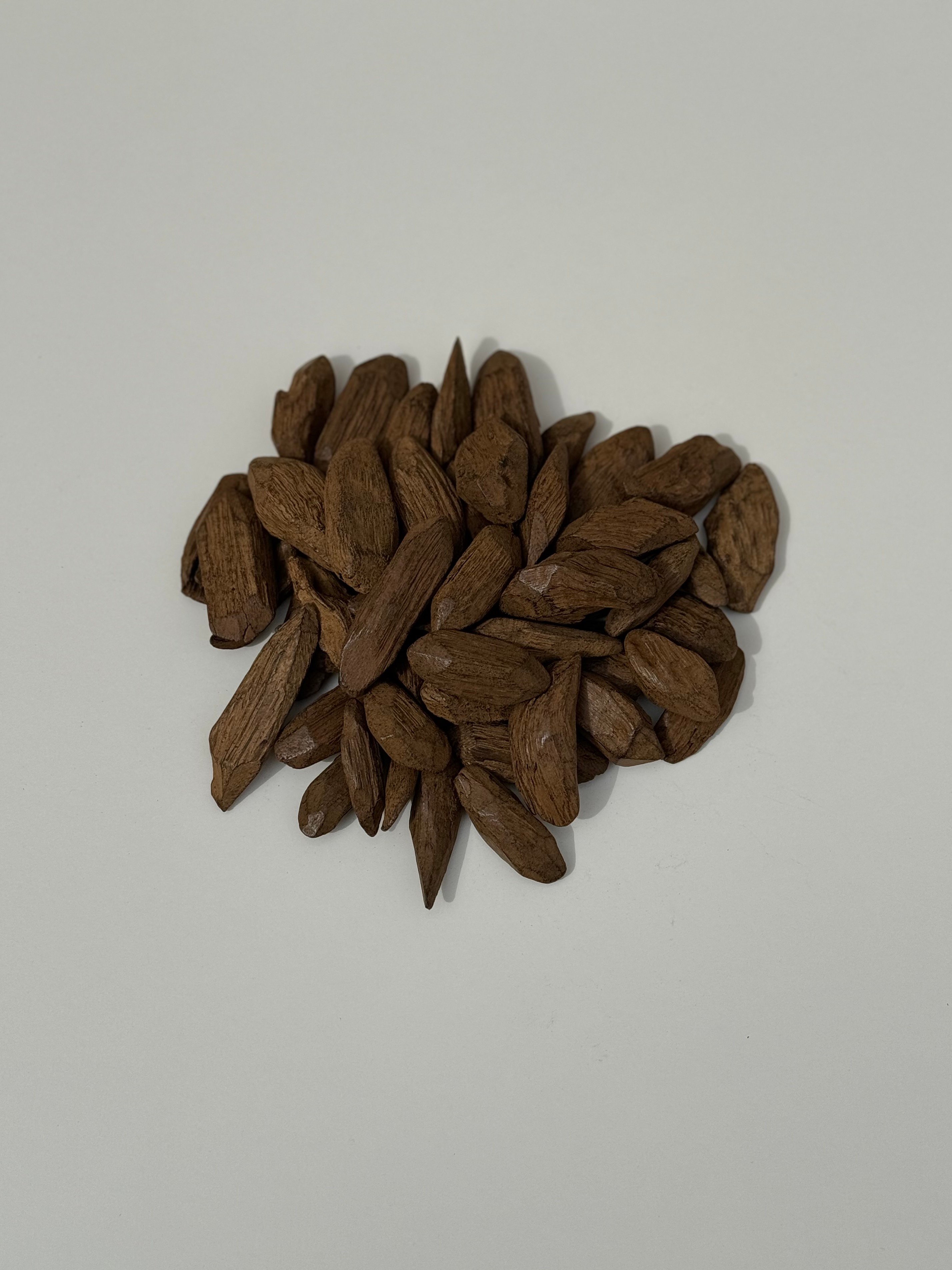 المراسم الأولى للعود