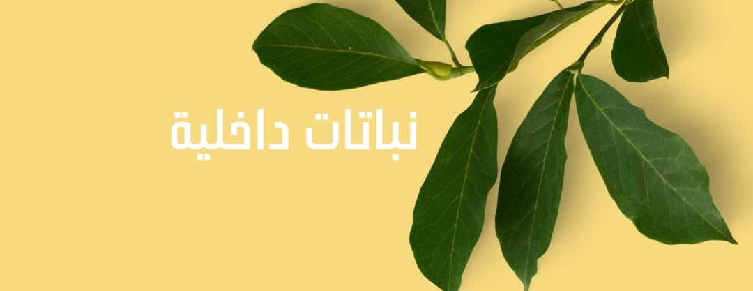 البستان image-slider-0