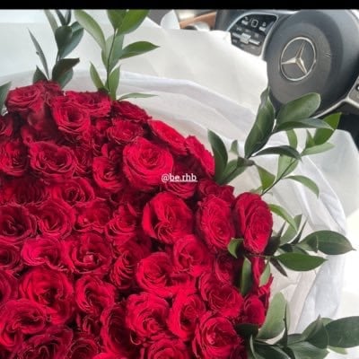 بشاير الغامدي