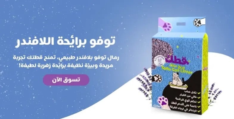 قطك image-slider-1