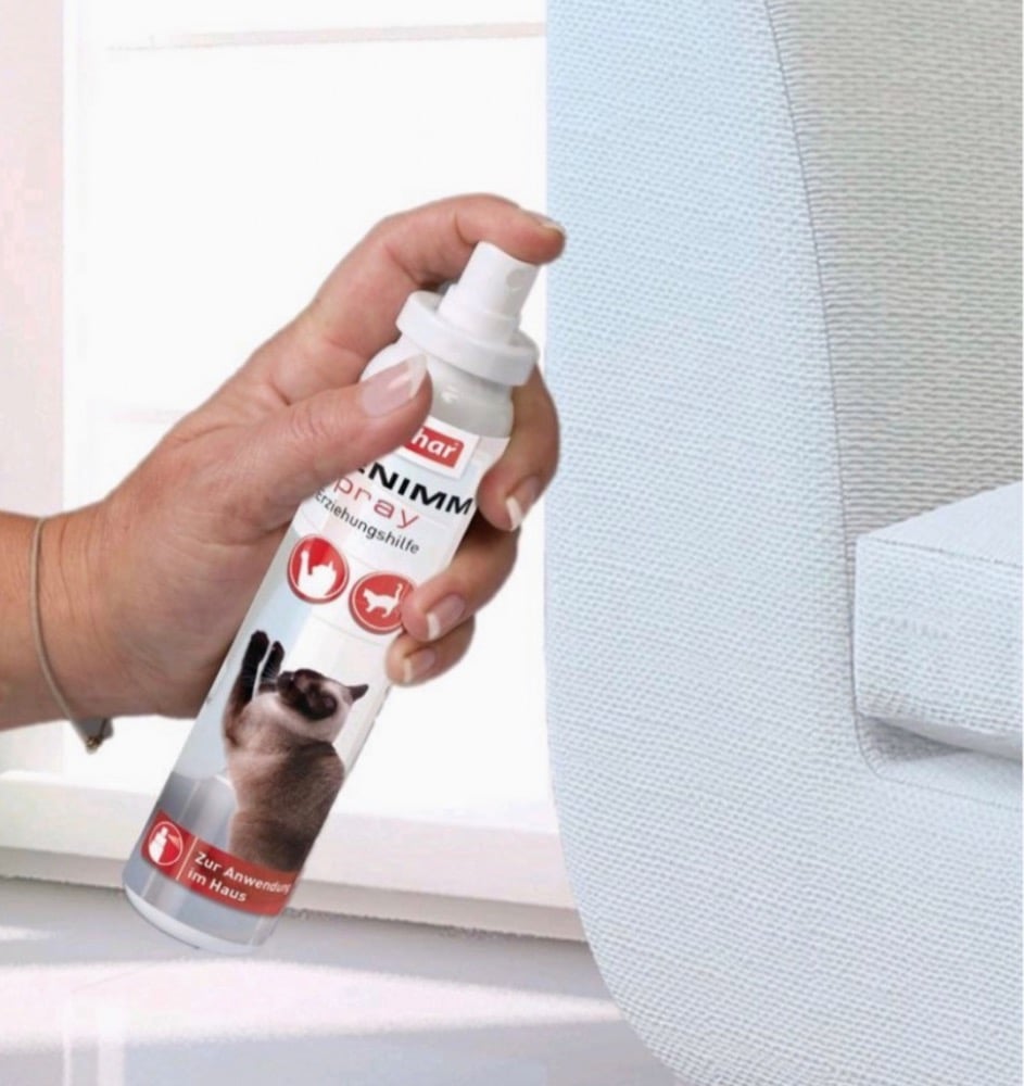 تدريــــــب